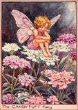 Play silk - Candy Tuft Flower Fairy