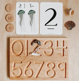 Jo-Collier-Numbers-Flash-Cards_Reverie-C-8